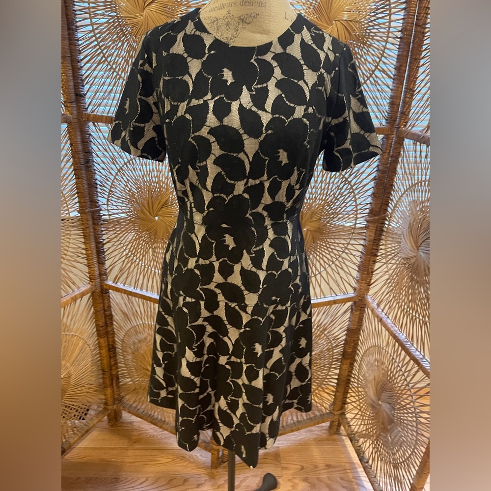 Ann Taylor size 10 petite lace zip dress flared excellent condition short sleeve